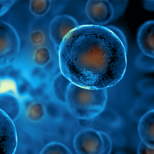 regenerative-cell-therapy-pic